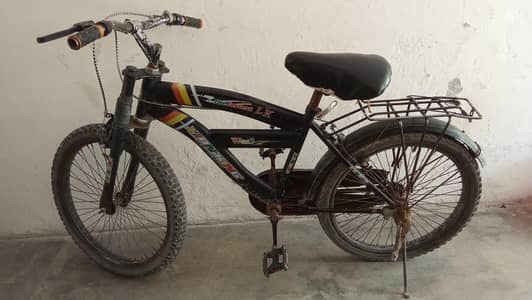 Beauty Bicycle