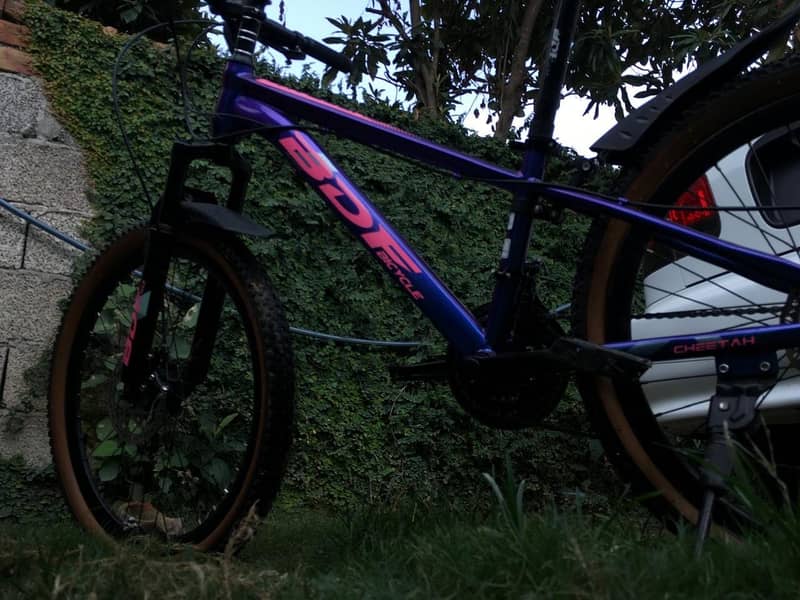 Bicycle 4
