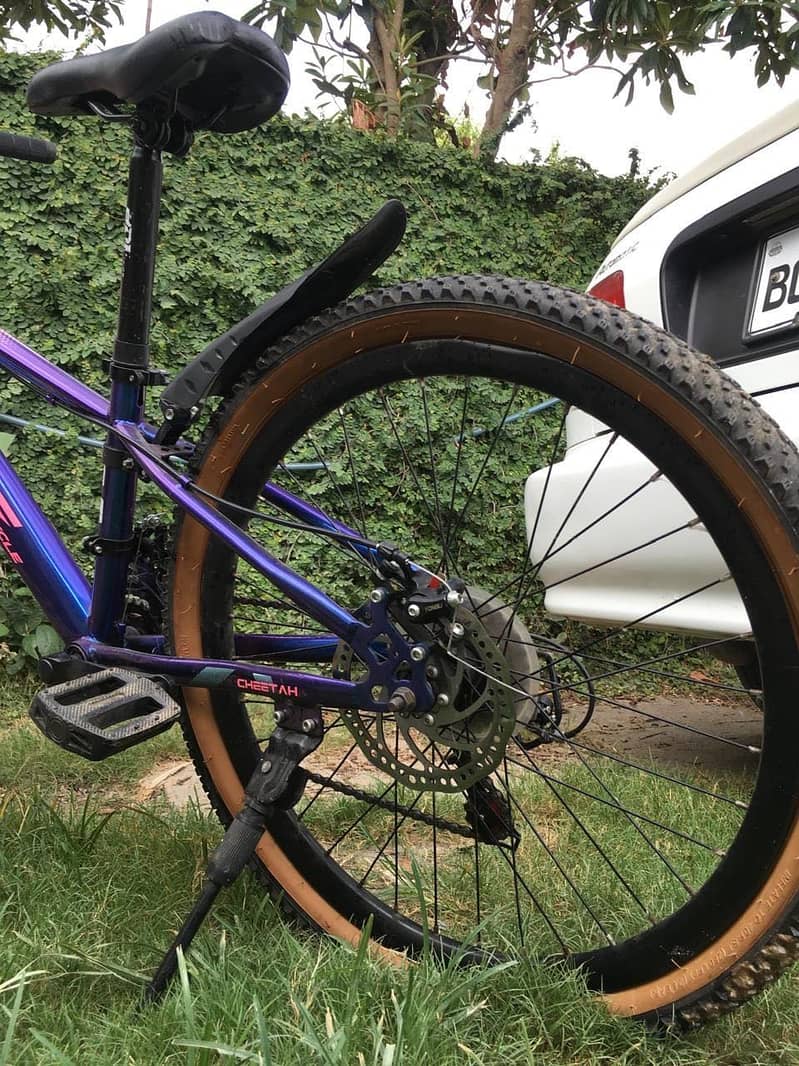 Bicycle 6