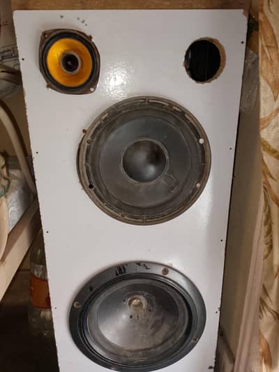 pioneer Taiwan Speaker Original