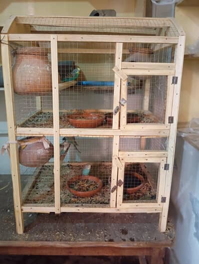 1 Breeder pair or 3 patho k pair sath me wooden cage ha 2 portion wala