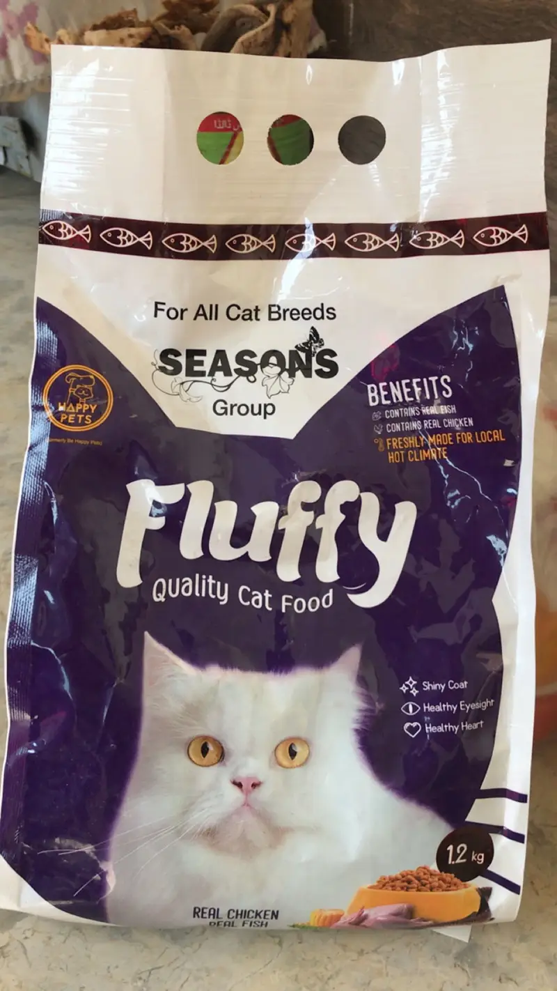 Triple coat Persian cat (white colour) — photo 11