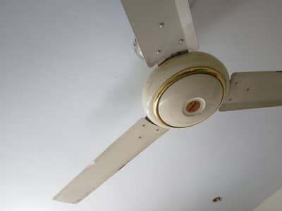 Fan sale