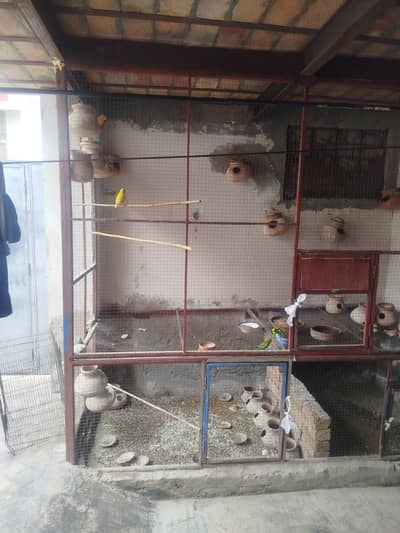 wall cage for sale