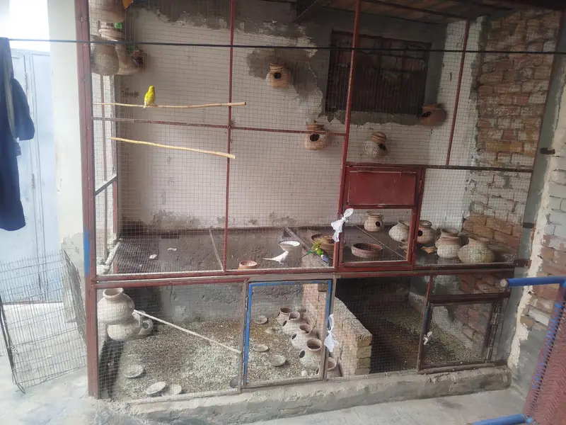 wall cage for sale — photo 2