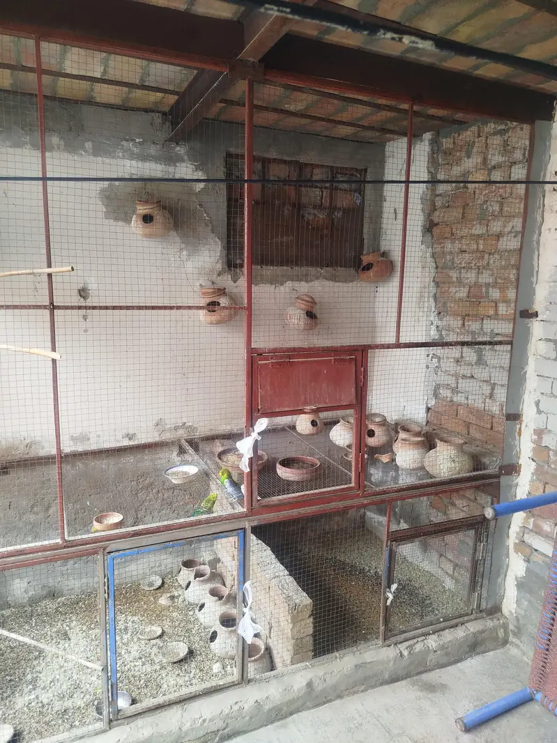 wall cage for sale — photo 3