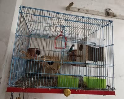 cages for sale