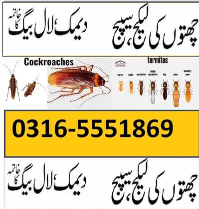 Pest Control / Termite /Demak Control Services 0316-555-1869