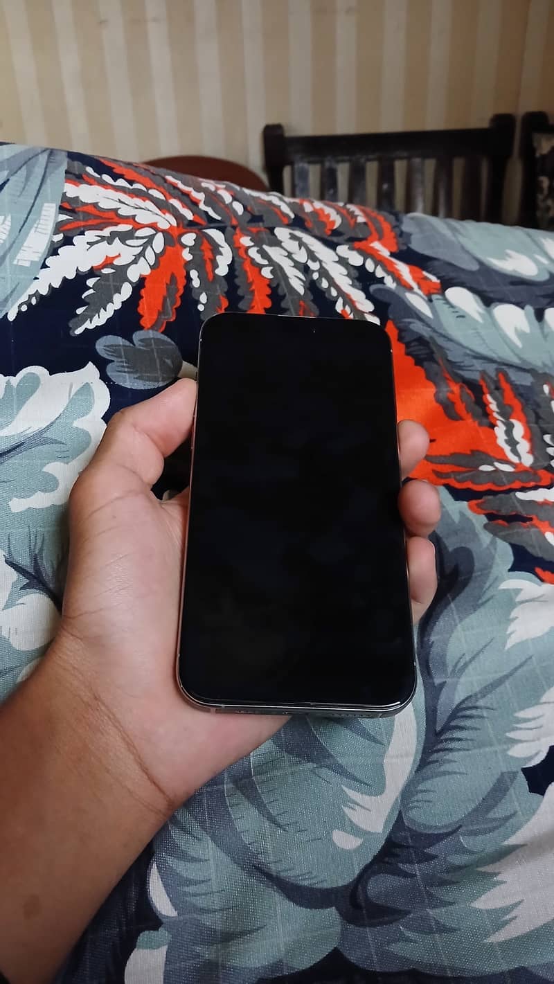 Apple iPhone 15 Pro Max 4