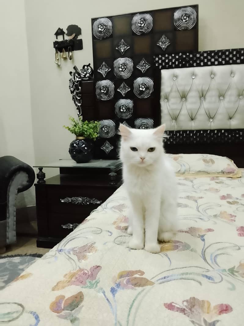 meanerd 2