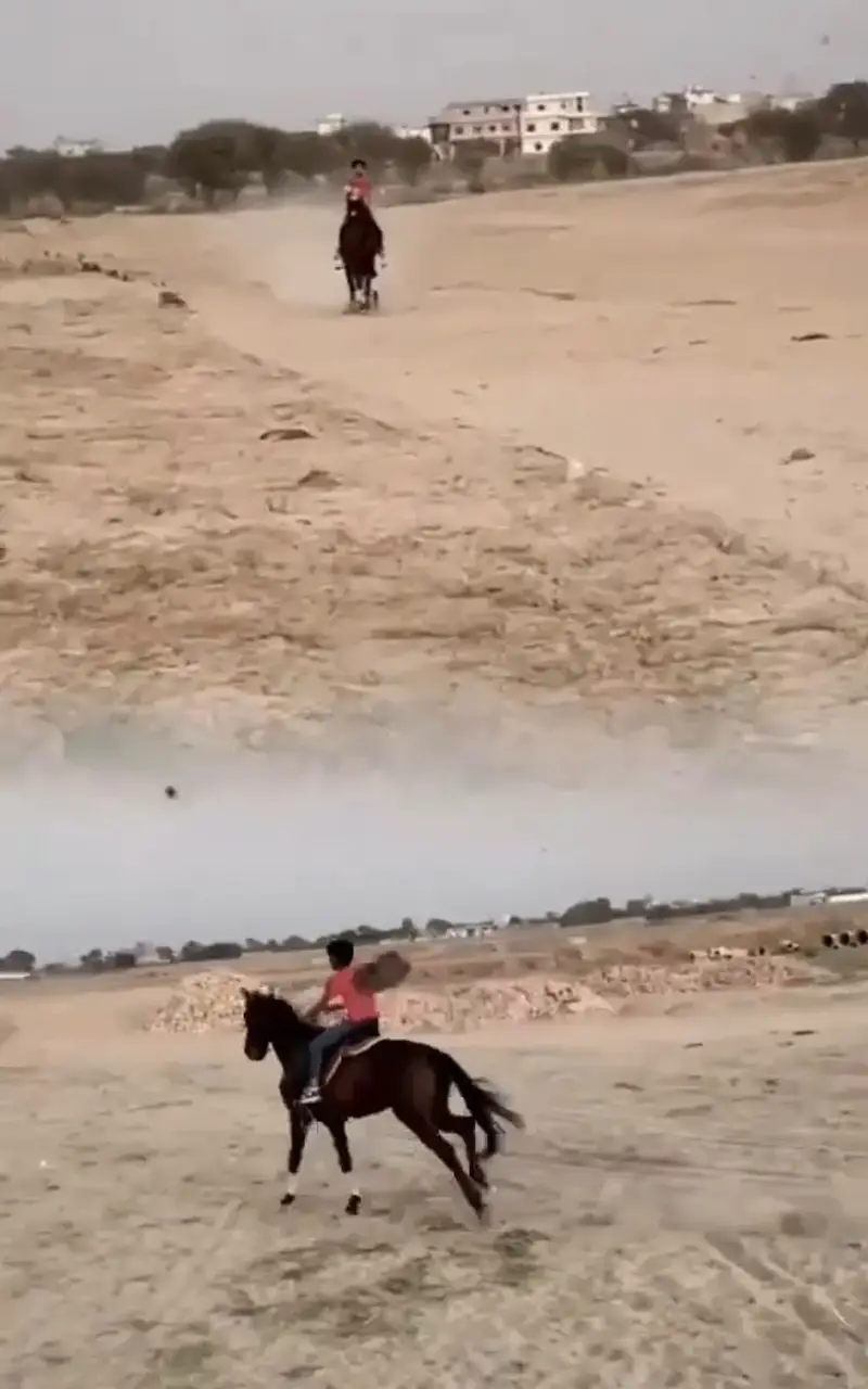 Desi ghora | pure desi hourse | hourse | riding hourse — photo 2