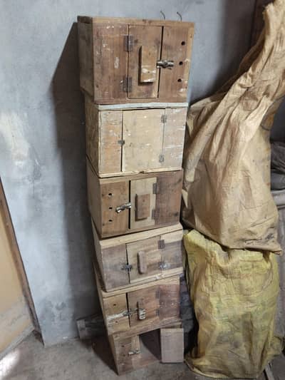 used birds box