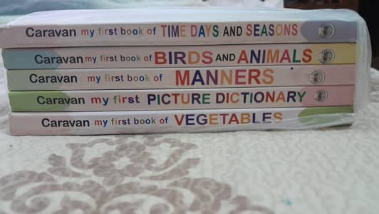 pre nursery hard card board books
