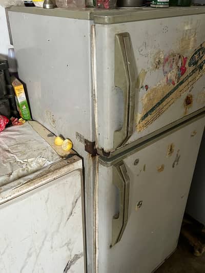 Pel Fridge