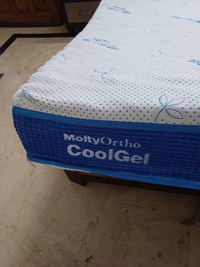 Used molty ortho coolgel king