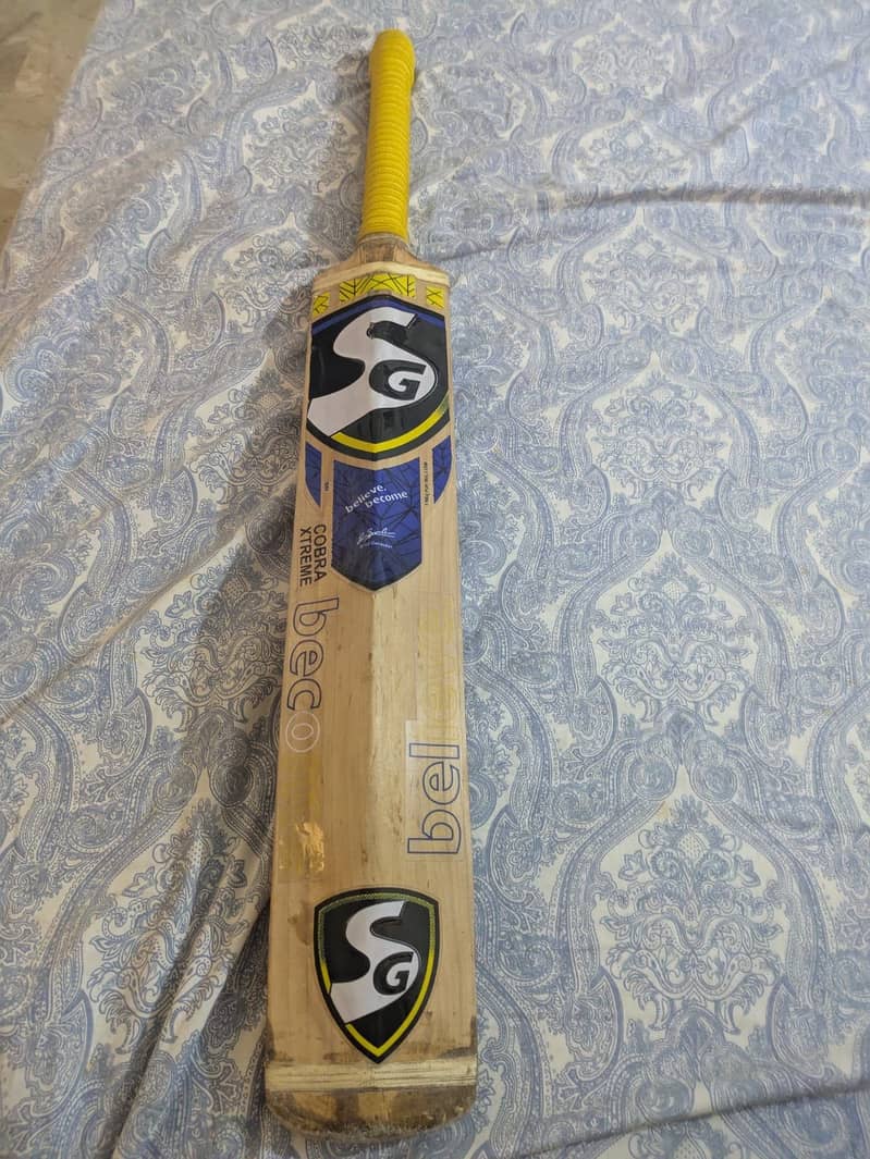 Hardball bat 2
