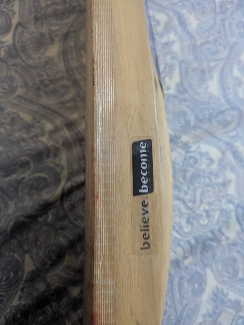 Hardball bat 3