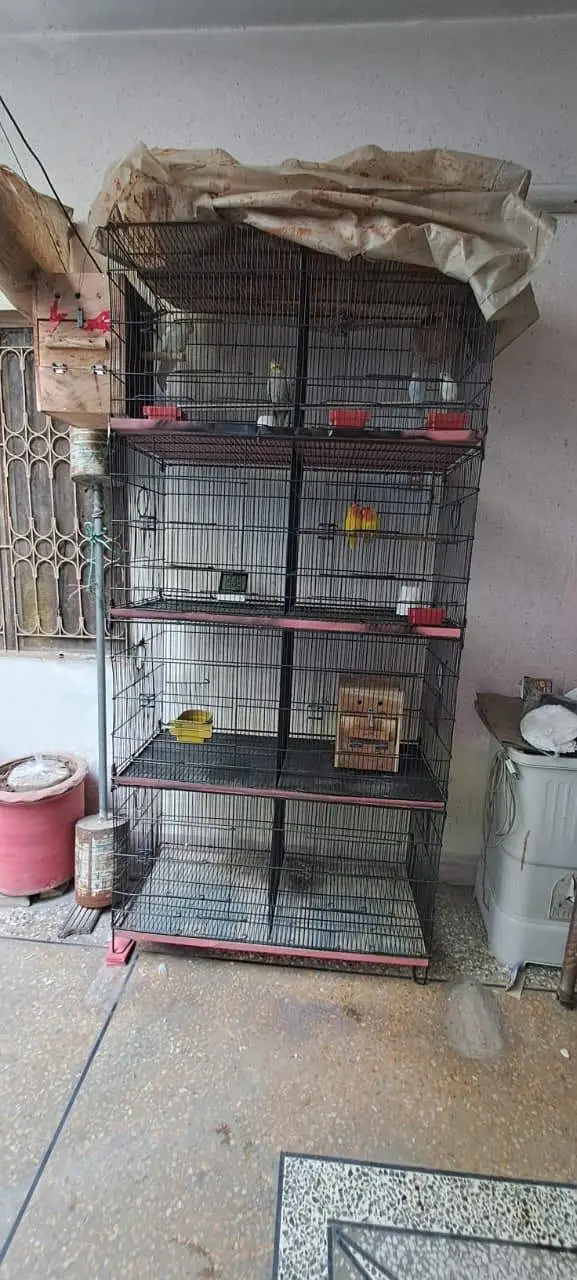 birds cages — photo 2