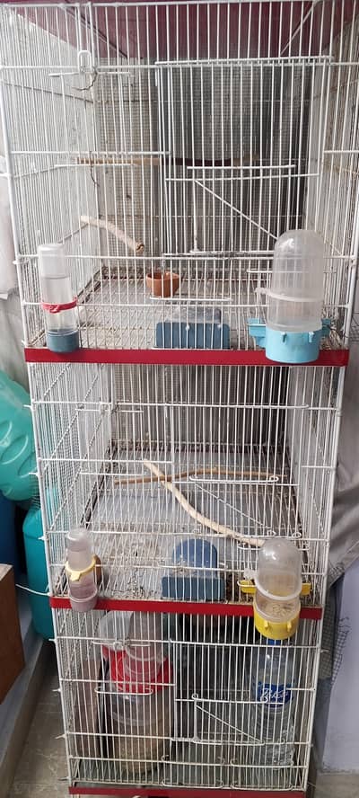 Birds cage 4 portion