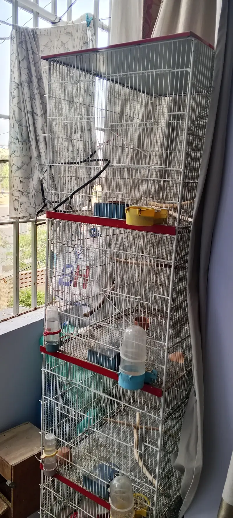 Birds cage 4 portion — photo 3