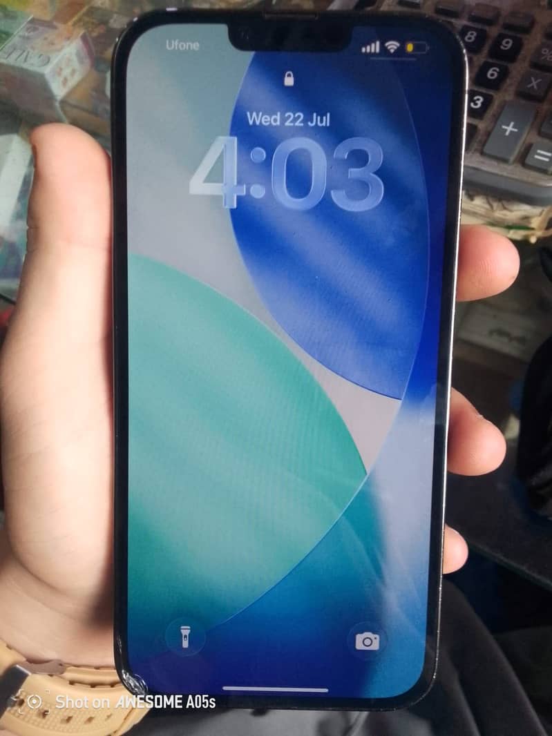 Apple iPhone 13 Pro Max 1