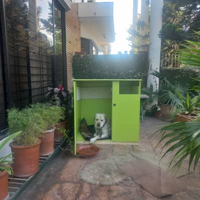 Brand New Dog House | Pets House for Sale