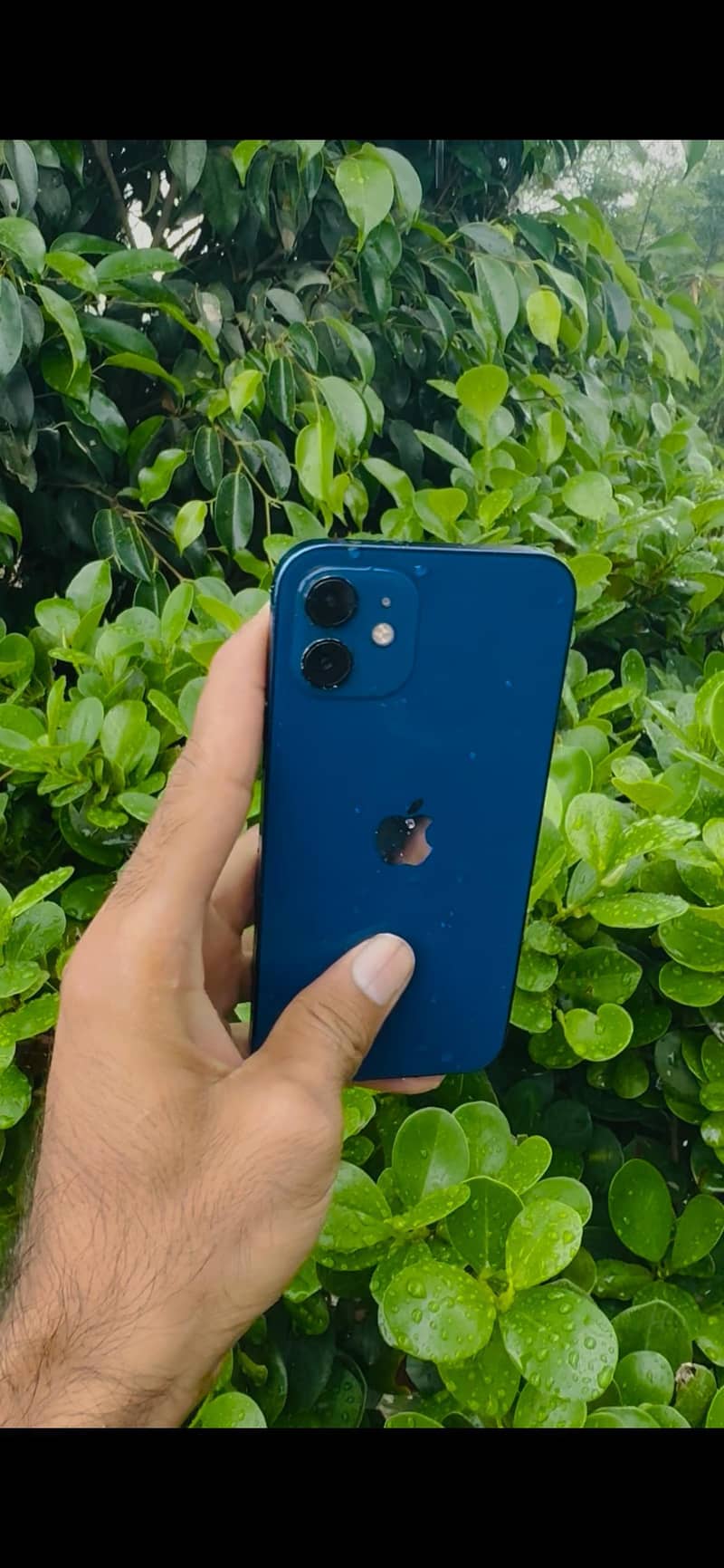 Apple iPhone 12 0
