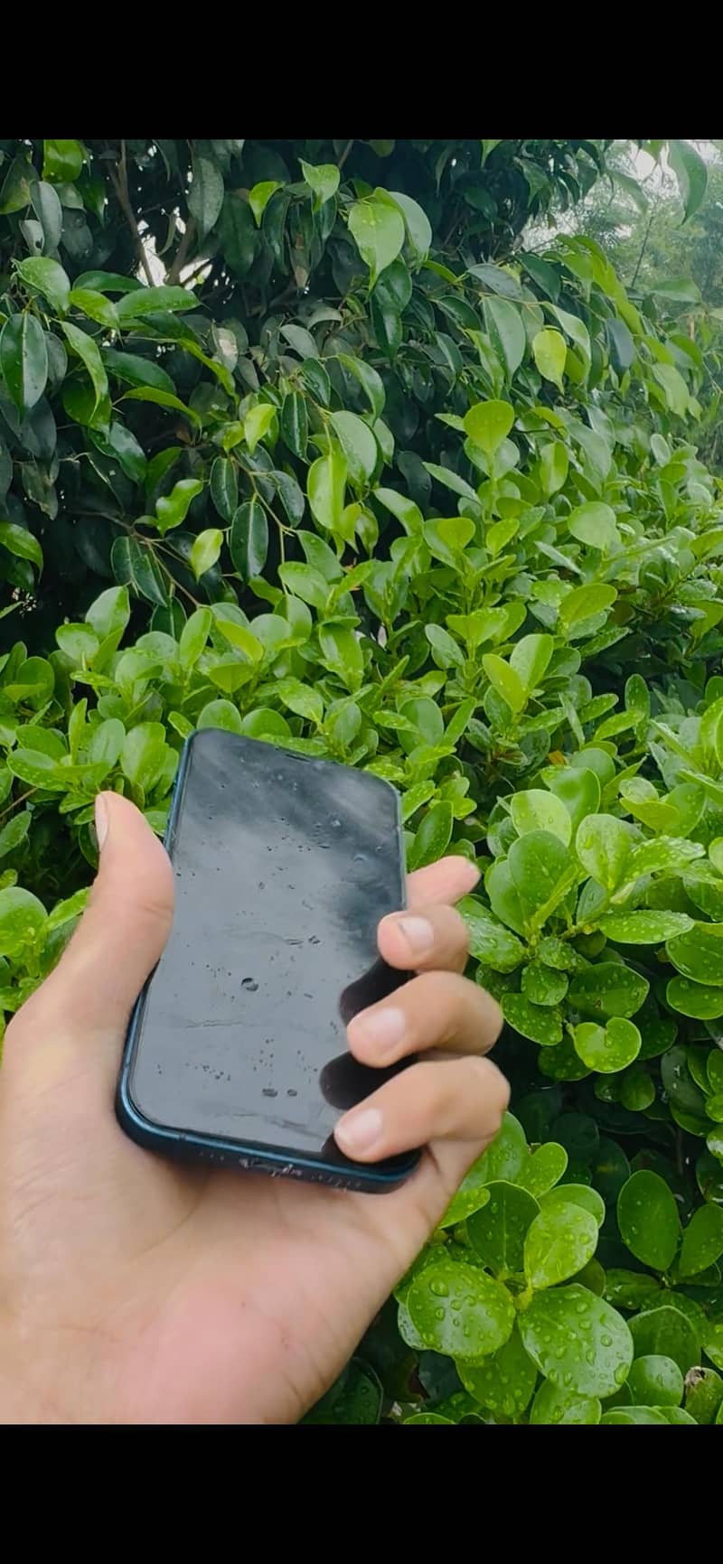 Apple iPhone 12 1