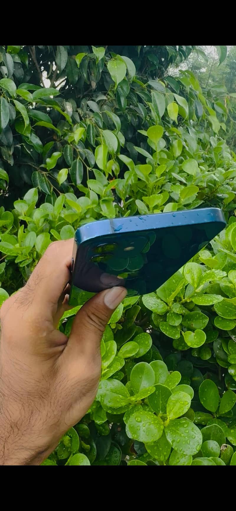 Apple iPhone 12 2