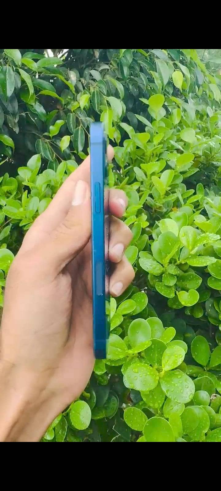 Apple iPhone 12 3