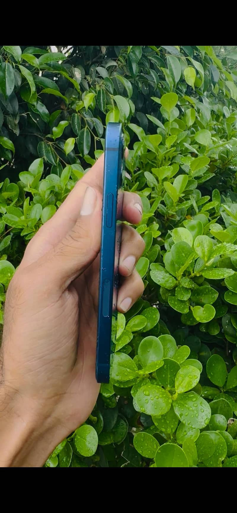 Apple iPhone 12 4