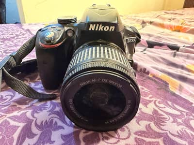 d 3300