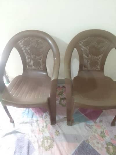 Plastic Chairs 4 pcs