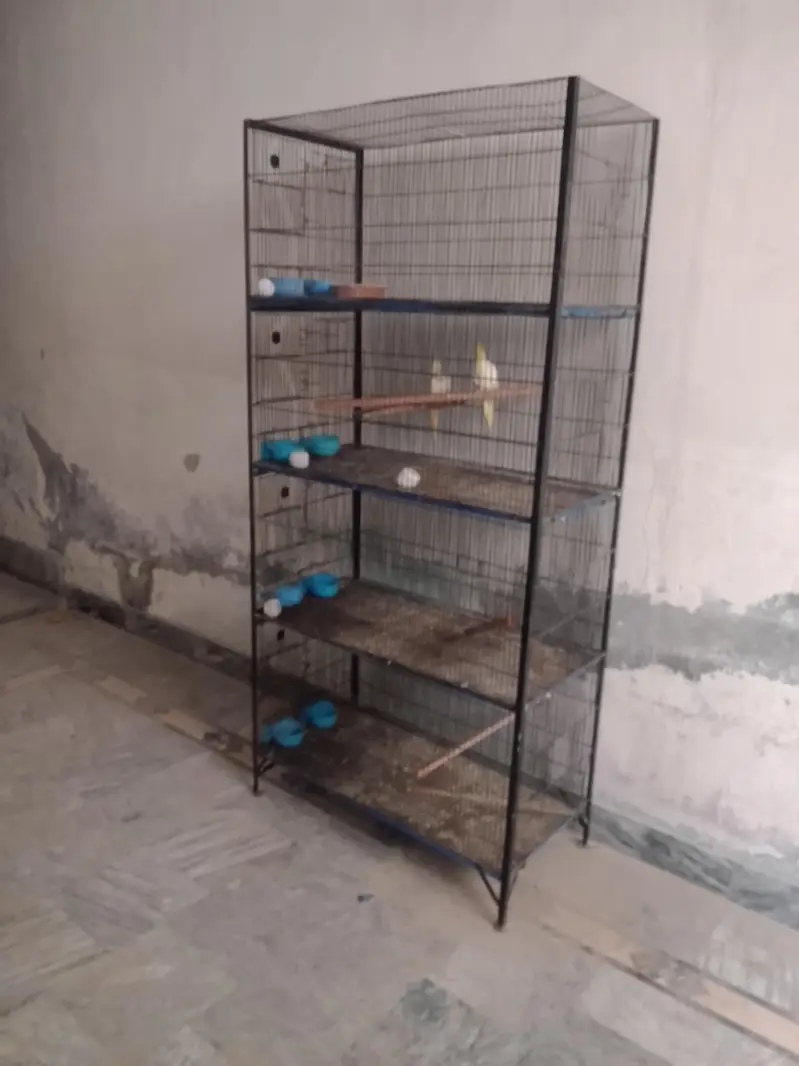 cage just for sale