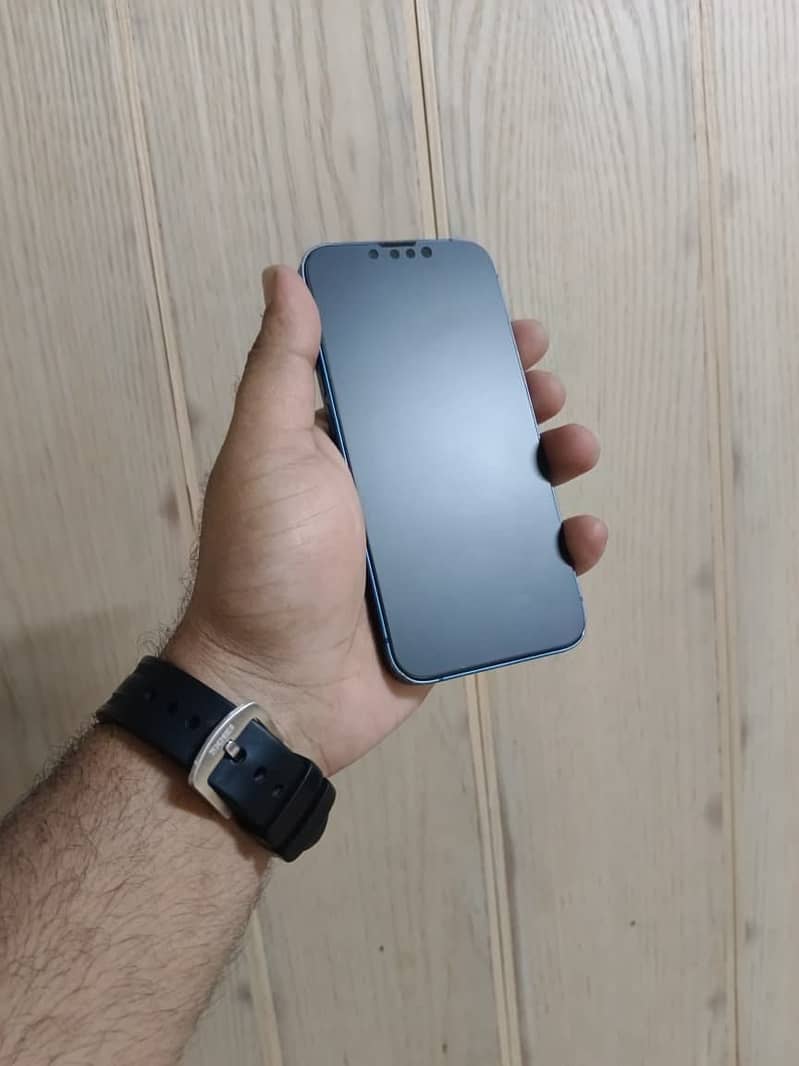 Apple iPhone 13 0
