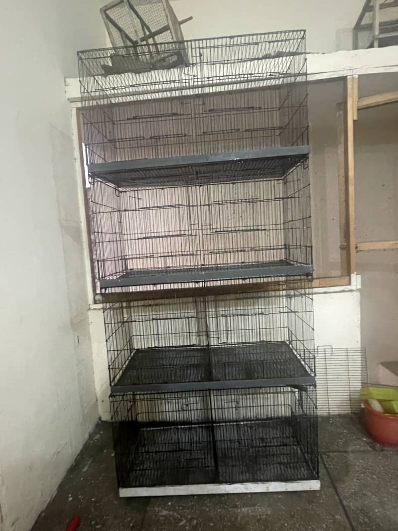Cages 1