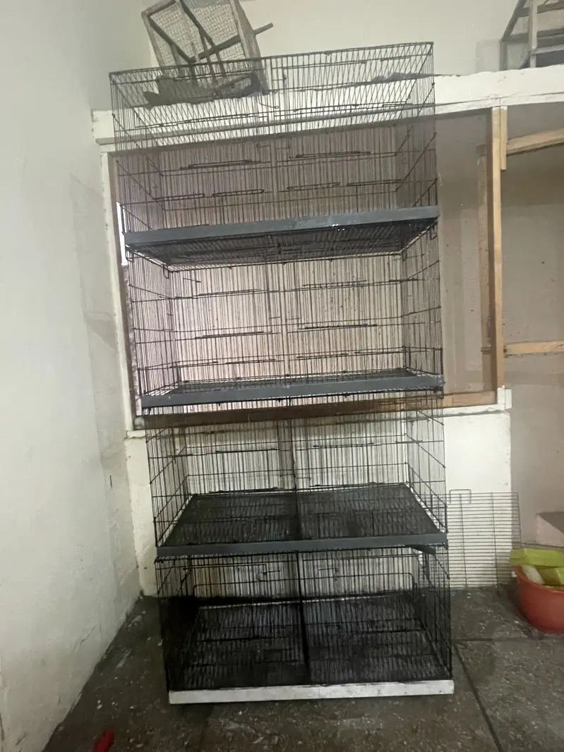 Cages — photo 2