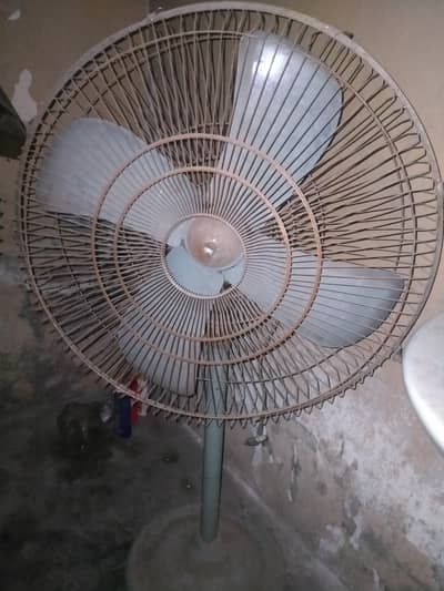 Pedestal fan