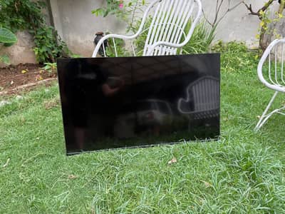 TCL 43P755 43" 4K Google Smart LED TV – Screen Panel Damaged – For