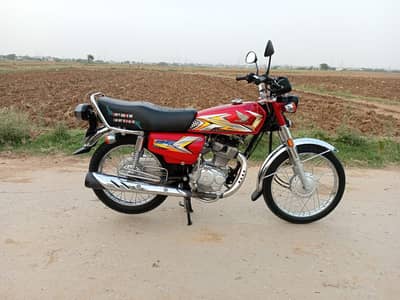 All punjab number first owner 24/25 Freah bike