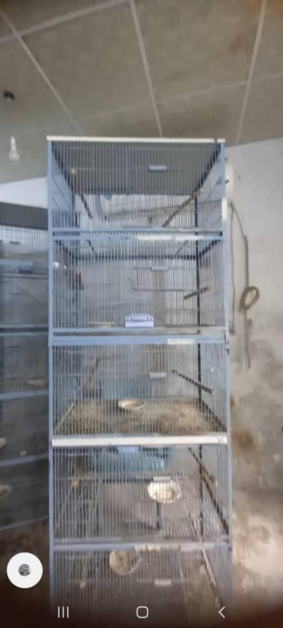 Brids cage used
