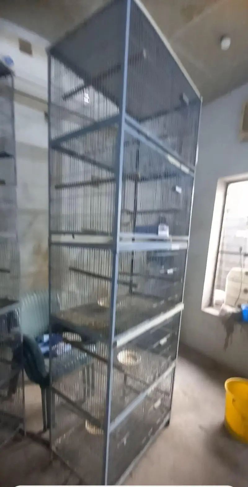 Brids cage used — photo 2