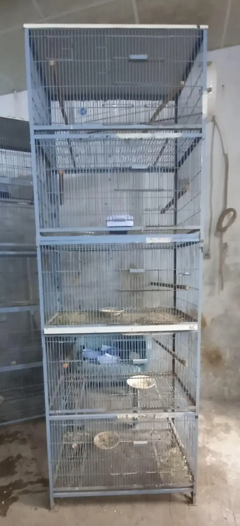 Brids cage used — photo 3