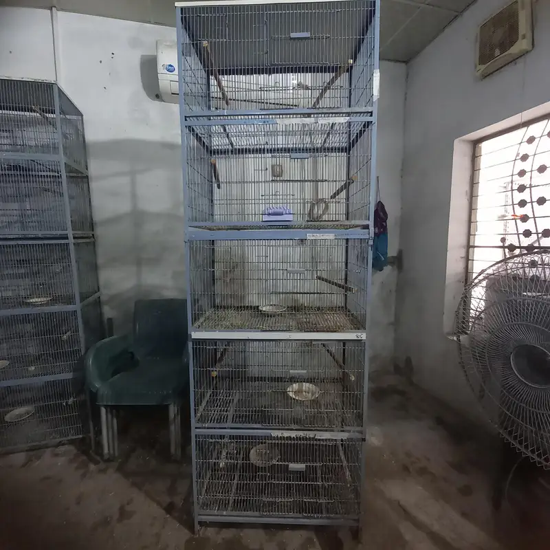 Brids cage used — photo 4
