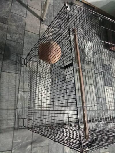 Pinjra For sale contact +923288839481