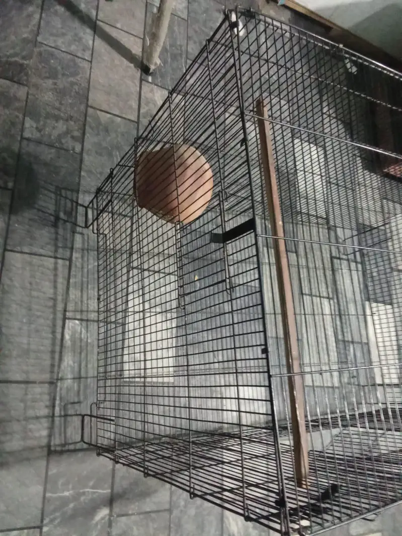 Pinjra For sale contact +923288839481