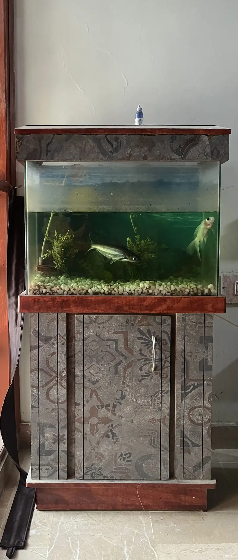 Fish Aquarium for Sale