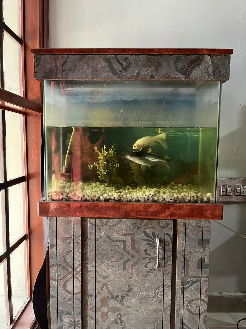 Fish Aquarium for Sale — photo 2