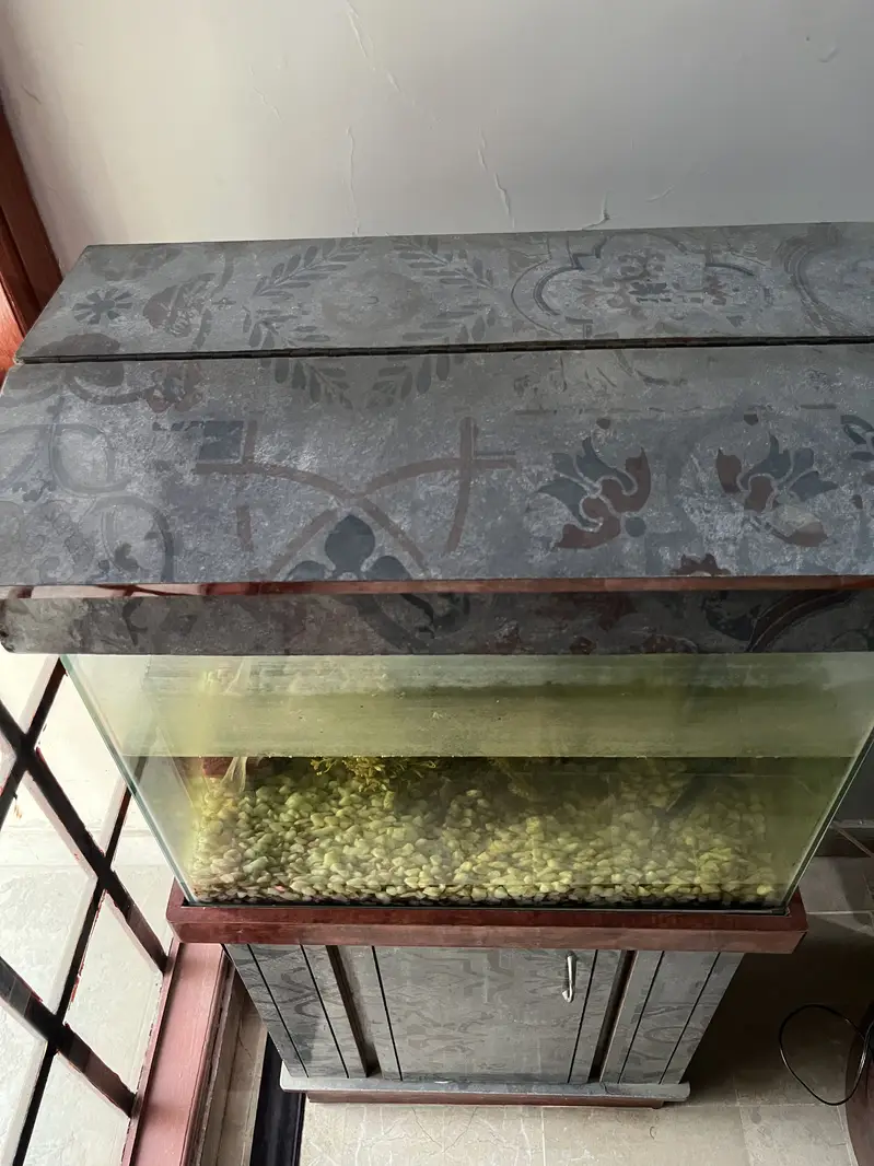 Fish Aquarium for Sale — photo 3