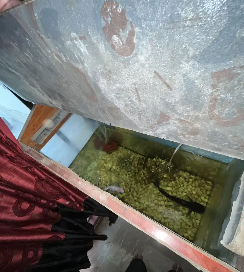 Fish Aquarium for Sale — photo 5